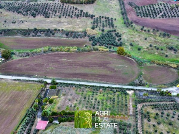 terreno agricolo in vendita a Roma in zona Trigoria