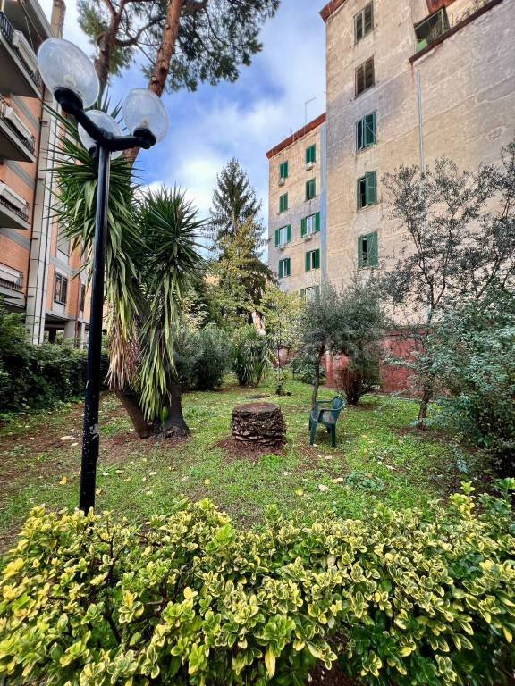 appartamento in vendita a Roma in zona Monte Sacro/Talenti
