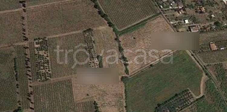 terreno agricolo in vendita a Roma in zona Finocchio