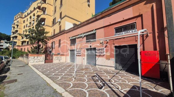 negozio in vendita a Roma in zona Monte Sacro/Talenti