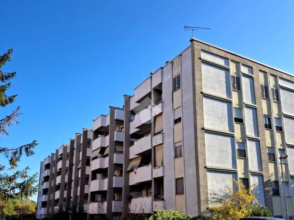 appartamento in vendita a Roma in zona Borghesiana