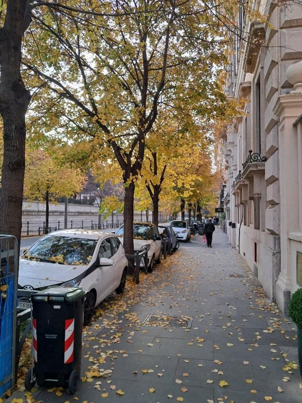 locale di sgombero in vendita a Roma in zona Flaminio