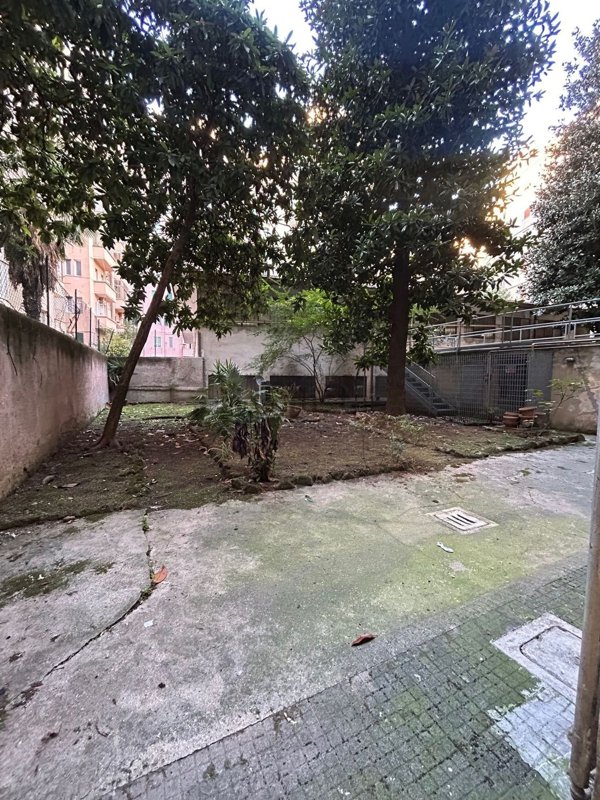 appartamento in vendita a Roma in zona Della Vittoria