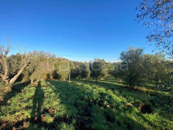 terreno agricolo in vendita a Roma in zona Trigoria