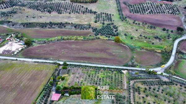 terreno agricolo in vendita a Roma in zona Trigoria