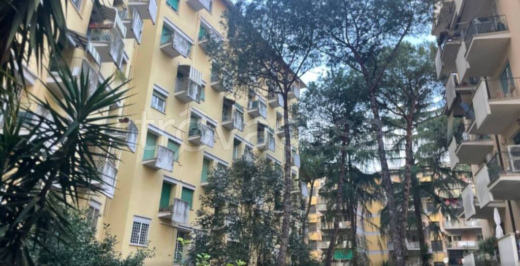 immagine annuncio 0 di 15