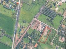 terreno agricolo in vendita a Roma in zona Torricola