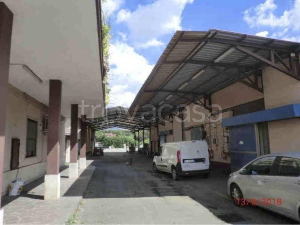 casa indipendente in vendita a Roma in zona Tor Vergata/Torrenova