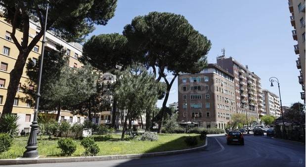 negozio in vendita a Roma in zona Trieste