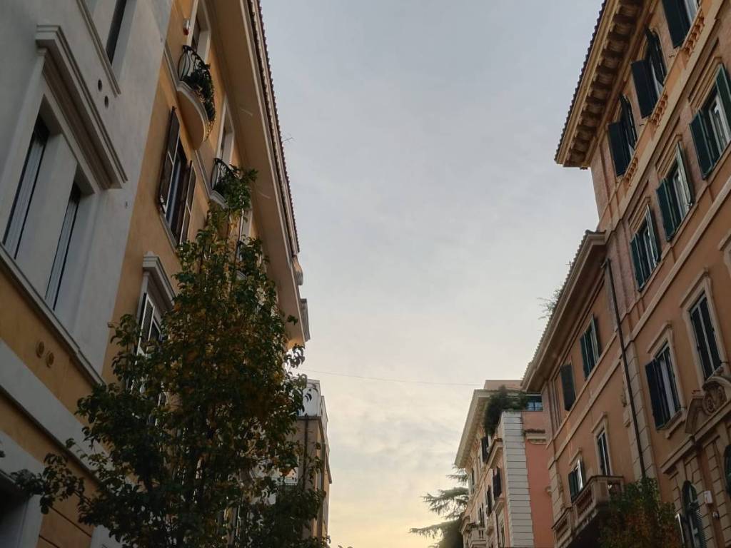 appartamento in vendita a Roma in zona Trieste