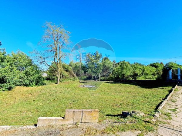 terreno agricolo in vendita a Roma in zona Torricola