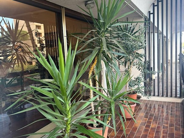 appartamento in vendita a Roma in zona Torrino