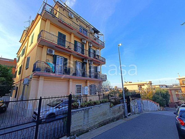 immagine annuncio 0 di 15