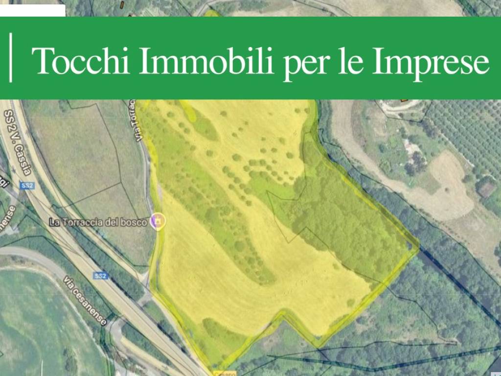 terreno agricolo in vendita a Roma in zona Olgiata