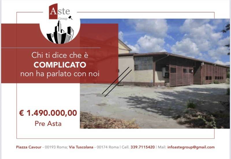 locale commerciale in vendita a Roma in zona Tor Vergata/Torrenova