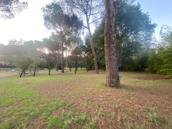 appartamento in vendita a Roma in zona Ardeatino