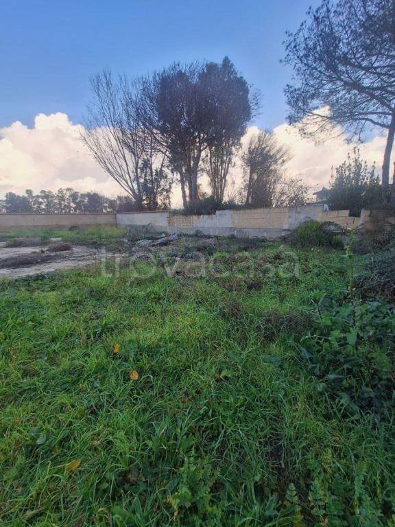 terreno agricolo in vendita a Roma in zona Ostia Antica