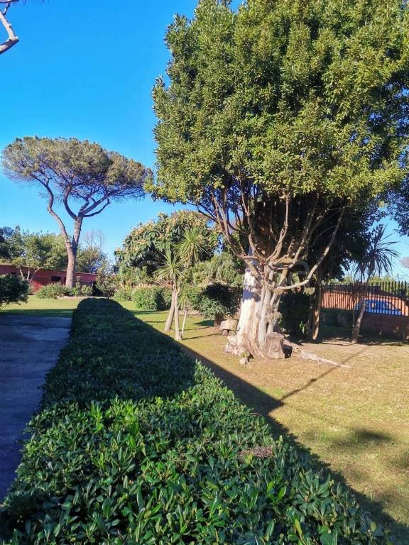casa indipendente in vendita a Roma in zona Ostia Antica