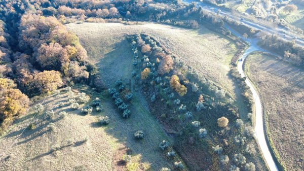 terreno agricolo in vendita a Roma in zona Cesano