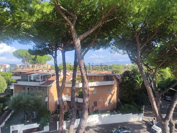 casa indipendente in vendita a Roma in zona Monte Sacro/Talenti