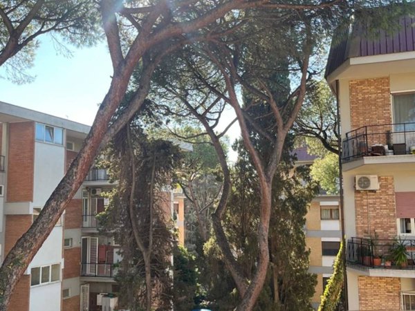 appartamento in vendita a Roma in zona Portuense