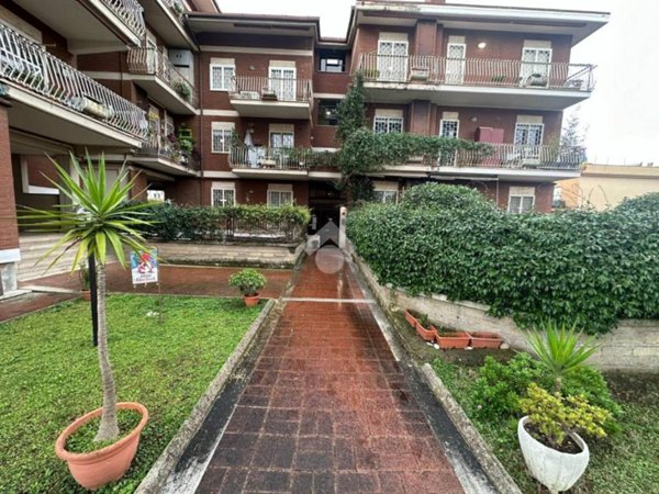appartamento in vendita a Roma in zona Tor Vergata/Torrenova