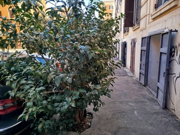 negozio in vendita a Roma in zona Tuscolano