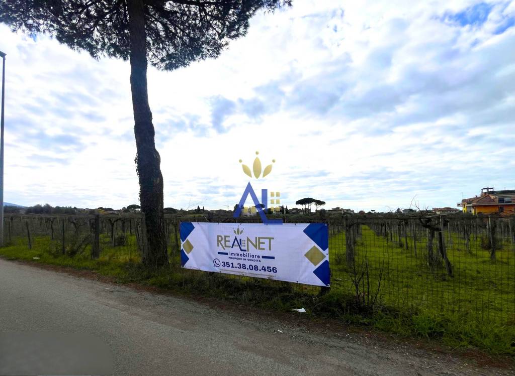 terreno agricolo in vendita a Roma in zona Tor Vergata/Torrenova