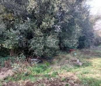 appartamento in vendita a Roma in zona Olgiata