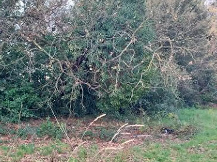 terreno agricolo in vendita a Roma in zona Olgiata
