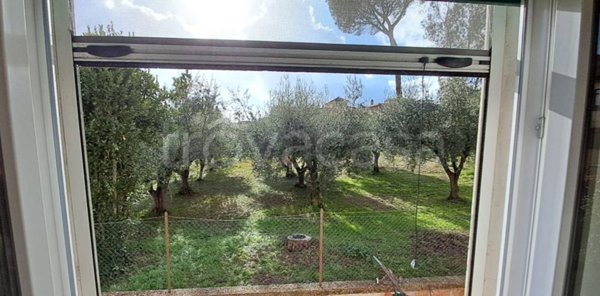 appartamento in vendita a Roma in zona Appio Pignatelli