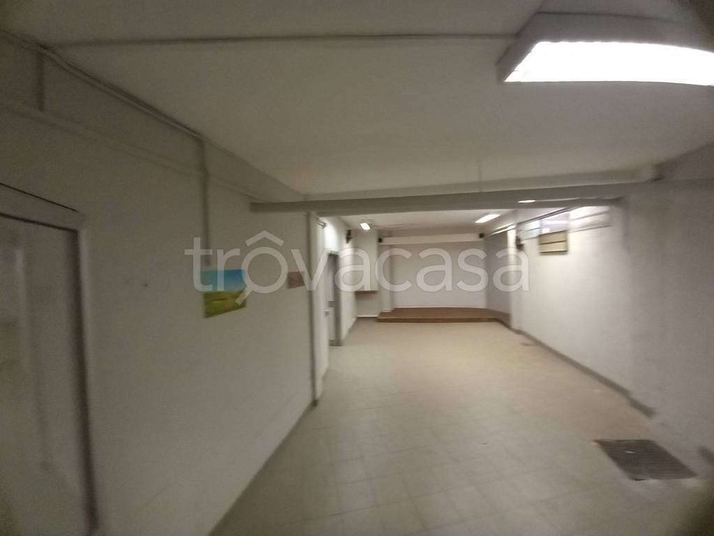 negozio in vendita a Roma in zona Monte Sacro/Talenti