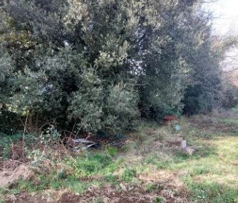 terreno agricolo in vendita a Roma in zona Olgiata