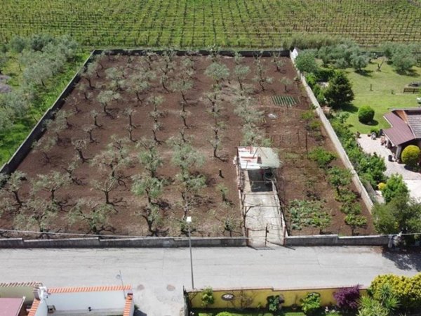 terreno agricolo in vendita a Roma in zona Trigoria