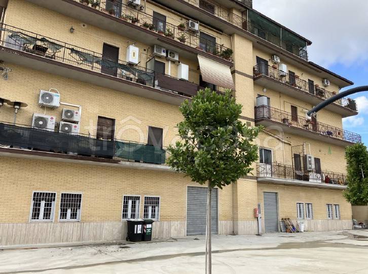 negozio in vendita a Roma in zona Valle Muricana