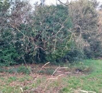 appartamento in vendita a Roma in zona Olgiata