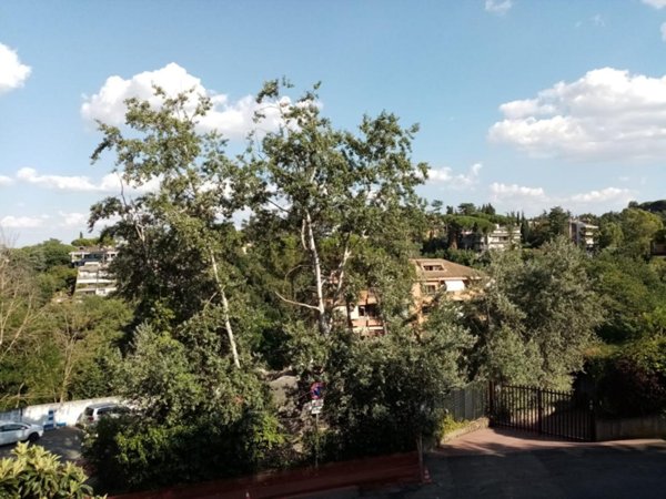 appartamento in vendita a Roma in zona Trionfale