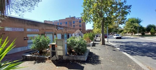 appartamento in vendita a Roma in zona Tor Vergata/Torrenova