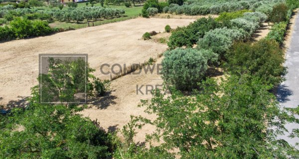 terreno agricolo in vendita a Roma in zona Falcognana