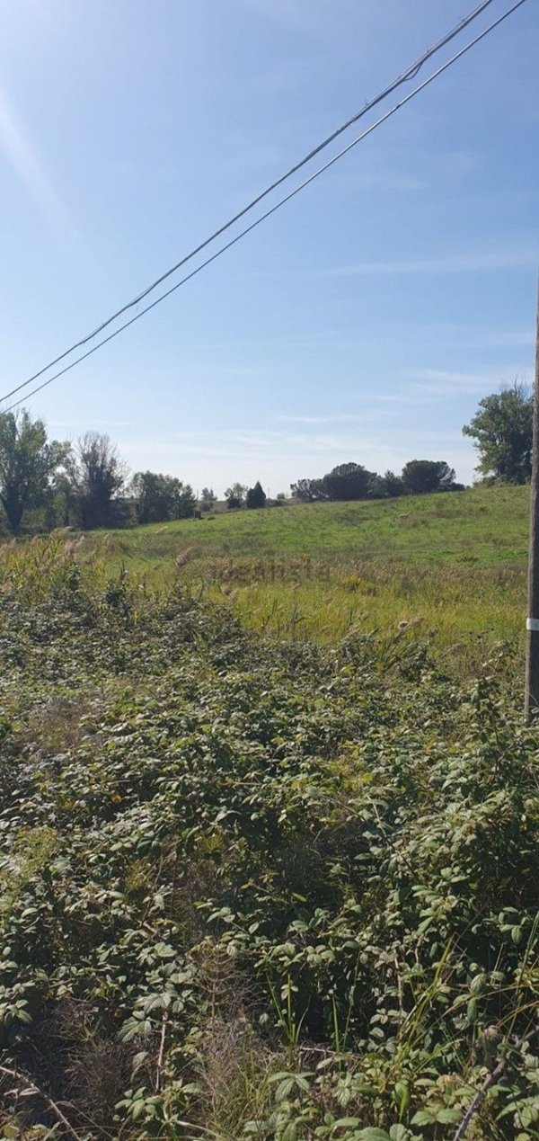 terreno agricolo in vendita a Roma in zona Pantan Monastero