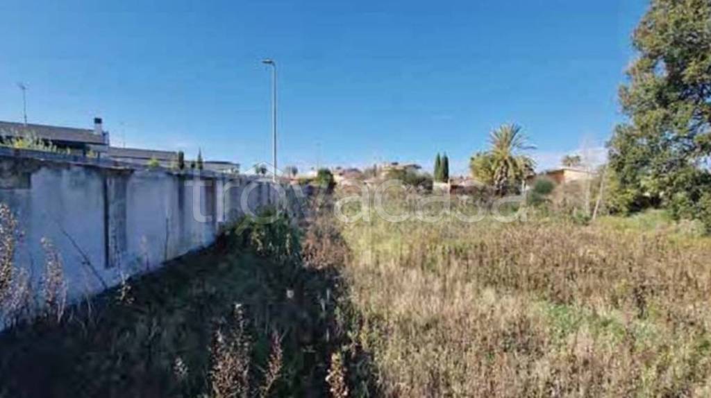 terreno agricolo in vendita a Roma in zona Casal Palocco