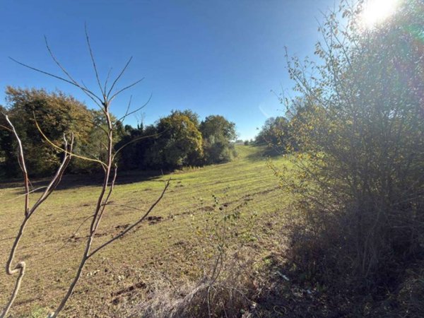 terreno agricolo in vendita a Roma in zona Prima Porta