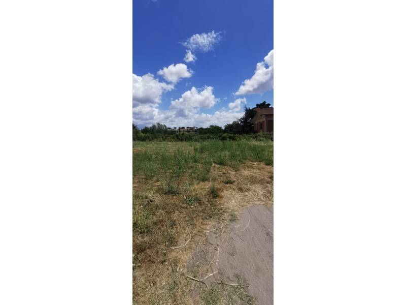 terreno agricolo in vendita a Roma in zona Olgiata