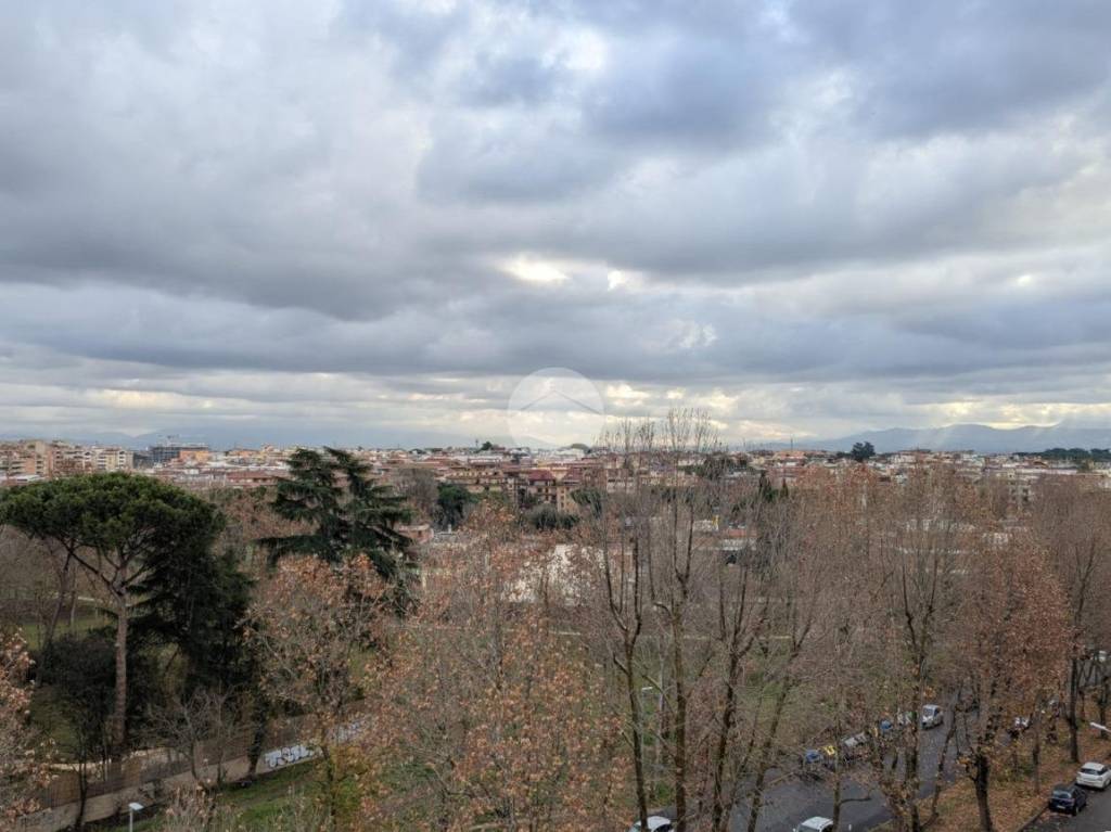 appartamento in vendita a Roma in zona Monte Sacro/Talenti