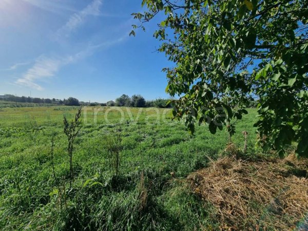 terreno agricolo in vendita a Roma in zona Pantan Monastero