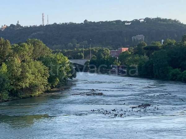 appartamento in vendita a Roma in zona Tor di Quinto