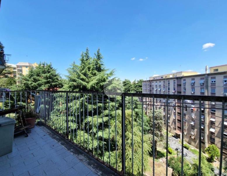 appartamento in vendita a Roma in zona Monte Sacro/Talenti