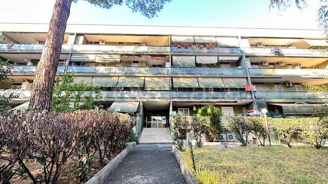 appartamento in vendita a Roma in zona Borghesiana