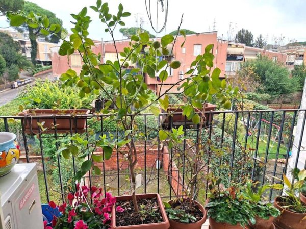 appartamento in vendita a Roma in zona Ponte Mammolo