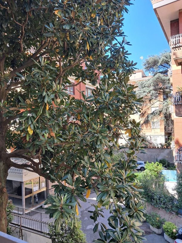 appartamento in vendita a Roma in zona Ardeatino